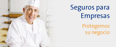 Mgs Seguros Empresas